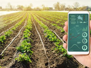 GeoAI in Crop Analytics: Revolutionizing Agriculture